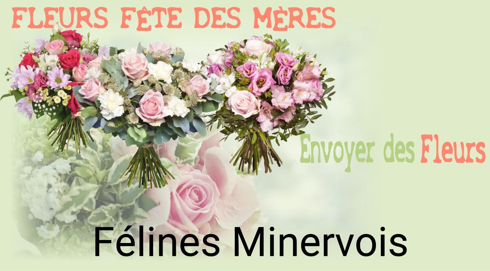 Bouquet de Fête des Mères livré à Félines-Minervois