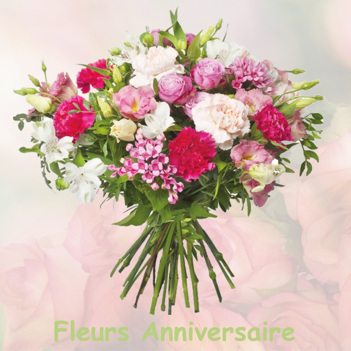 fleurs anniversaire FELINES-MINERVOIS